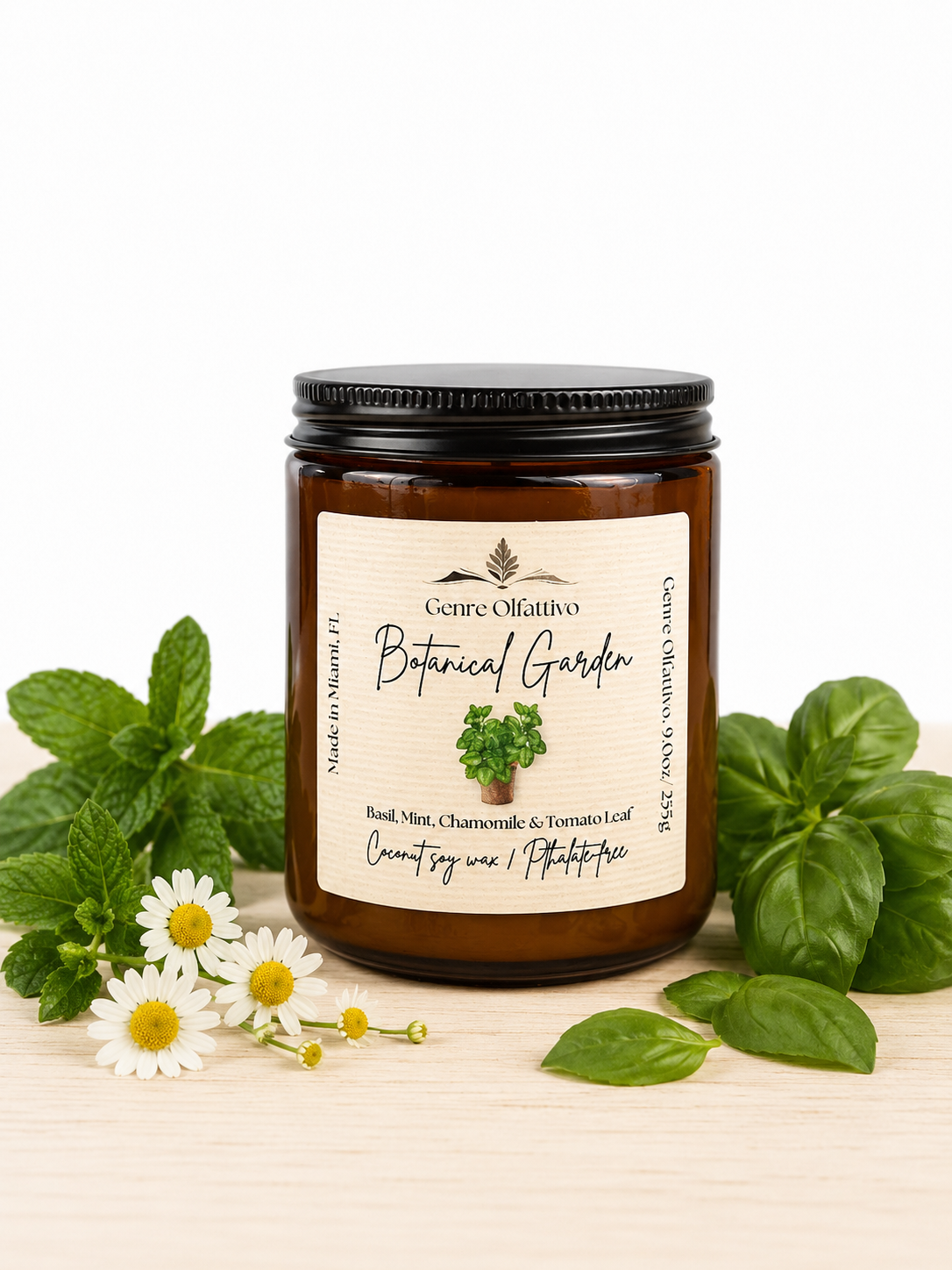 Botanical herb candle, chammomile candle, basil candle.